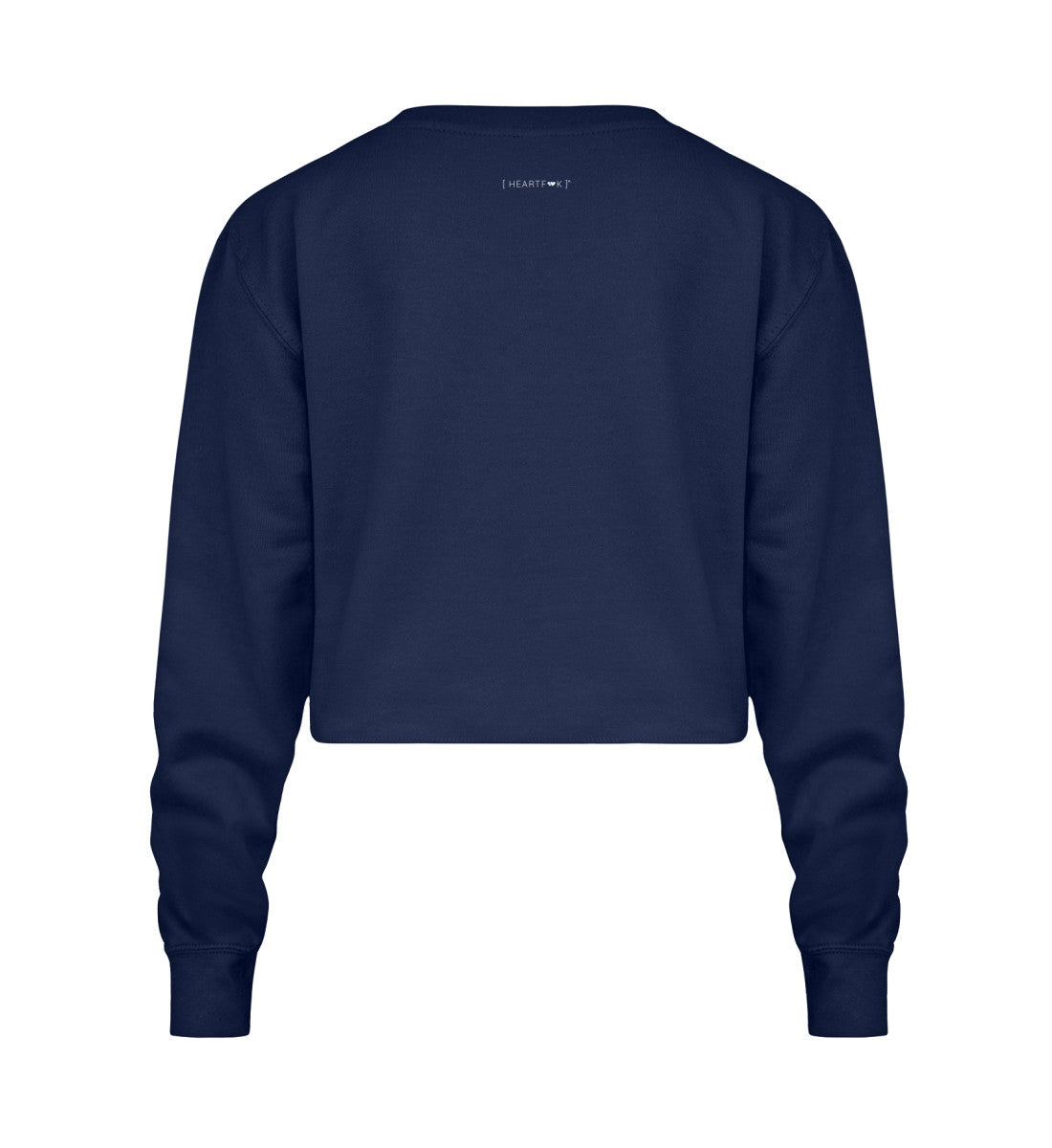 New French Navy-1676
